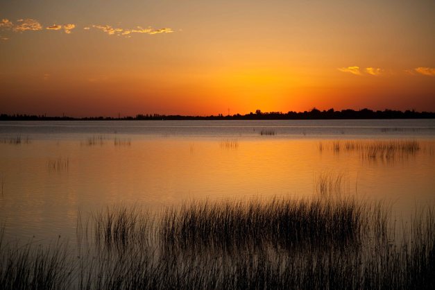 No necesito comentar esta imagen...