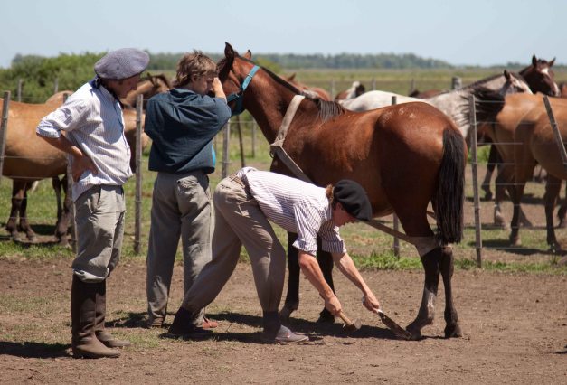 ....y los gauchos.