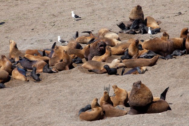 There are lots of them...