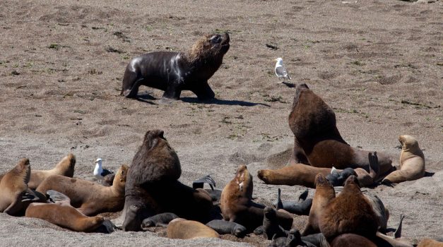 These guys don't seem to like each other...