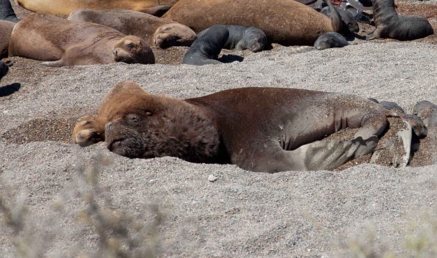 ....while these two obviously do.