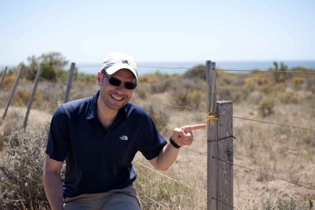 Sea lion babies use them too??? Don't think so!