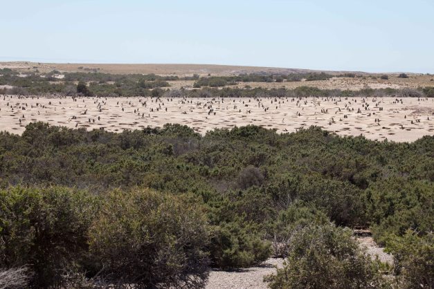 There are many of them out there...