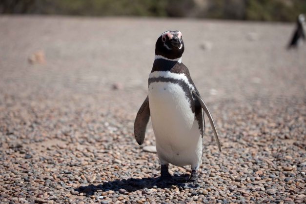 Hi everybody - how are you?