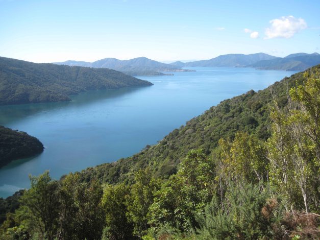 Aussicht vom Track auf den Queen Charlotte Sound