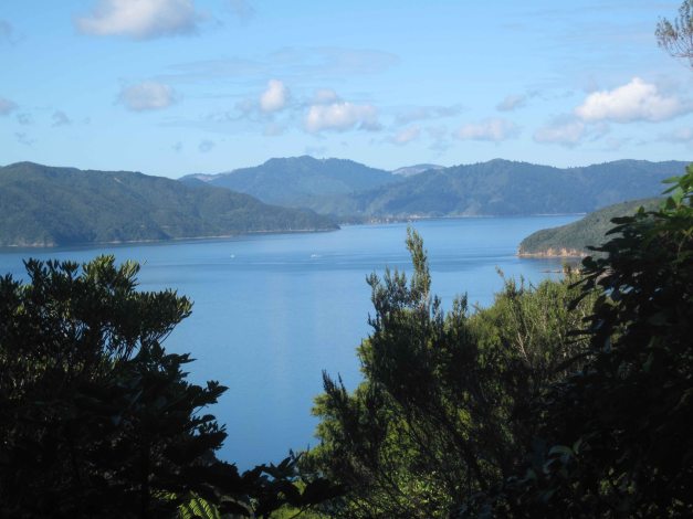 Aussicht von Track auf dem Queen Charlotte Sound