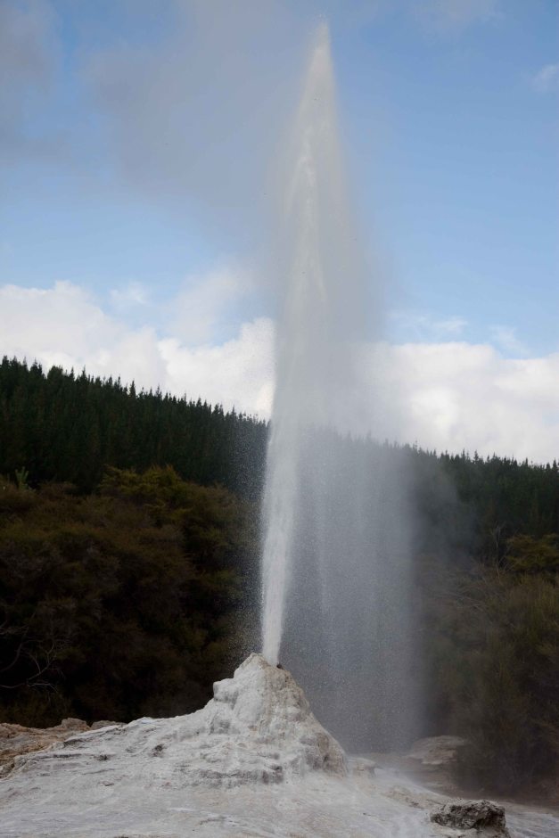 Lady Knox Geysir