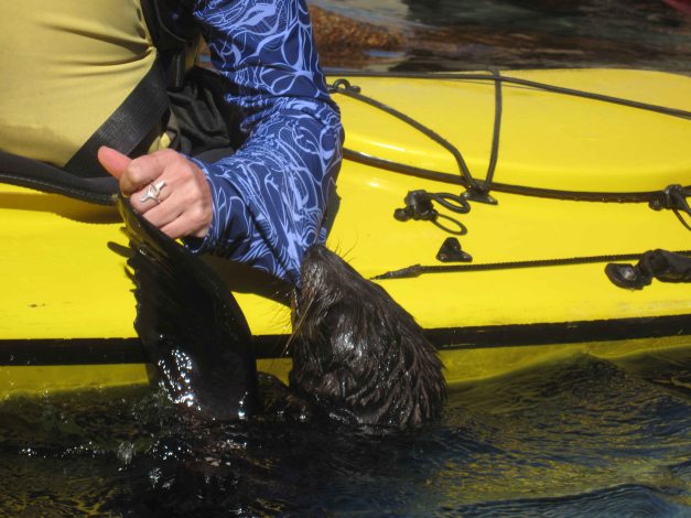 "...Dann komm' ich eben rauf...urrrg..."