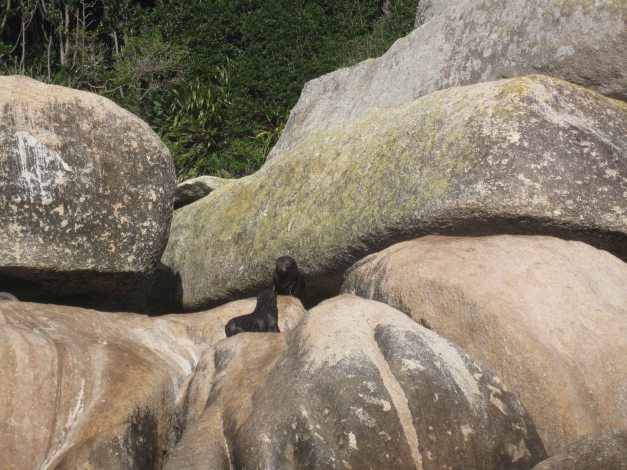 Die Kinder spielen im Wasser, die Erwachsenen liegen an der Sonne...