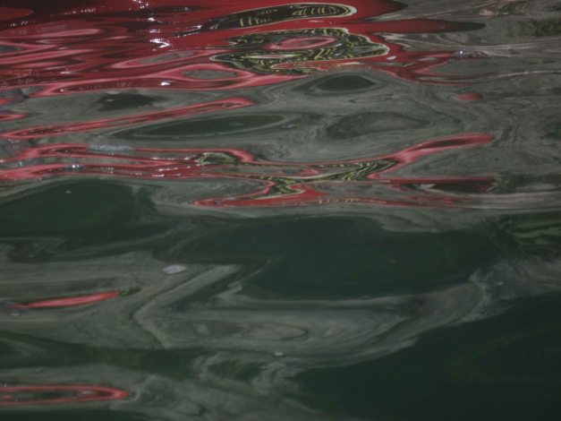 Da es heute aber starken Gegenwind gab, war ich mehr mit paddeln als mit photografieren beschäftigt