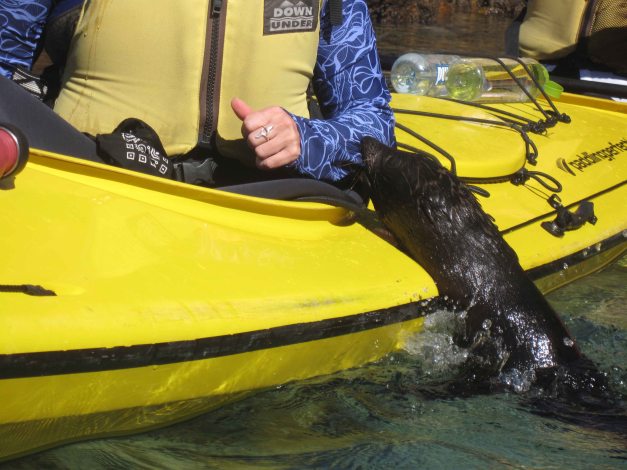 ""....urgggh....geffft dochff..."