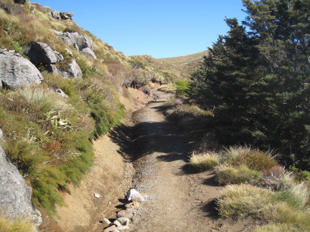 Weiter geht's zur Luxmore Hütte...