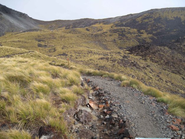 Aber wir müssen los und noch weiter den Hügel rauf.