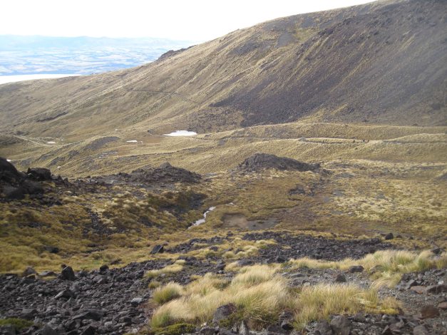 ...zum Luxmore Gipfel