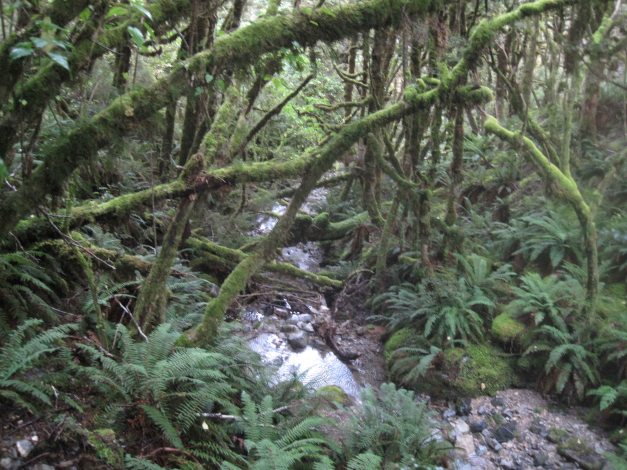 ...erreichen wir schliesslich die...