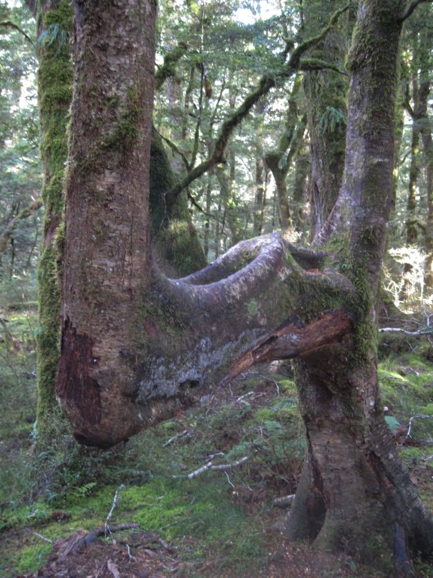 Eindrücke entlang des Weges
