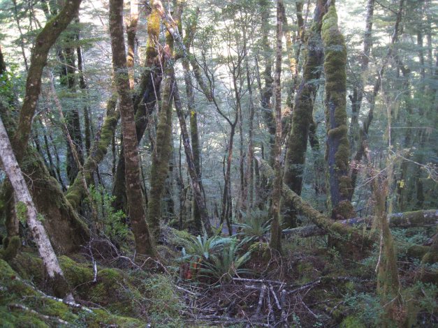 Eindrücke entlang des Weges