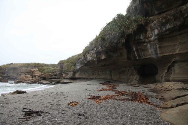 Punakaiki