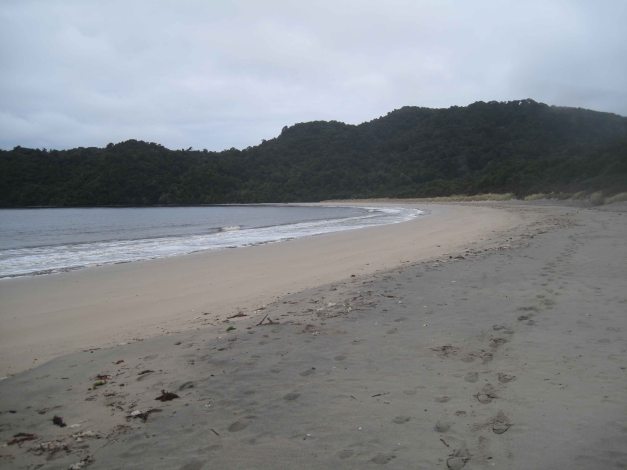 Ich bin der einzige auf dem Track wie mir auf dem örtlichen DoC Office erklärt wurde