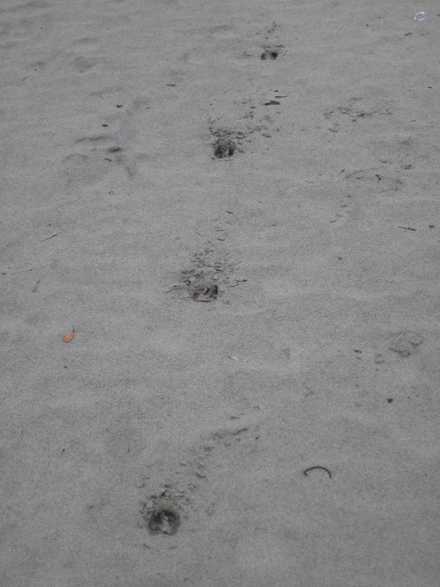 Aber was ist das? Spuren von 'Freitag'....?