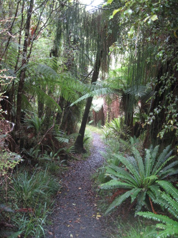 Was soll ich dazu sagen: Wald...