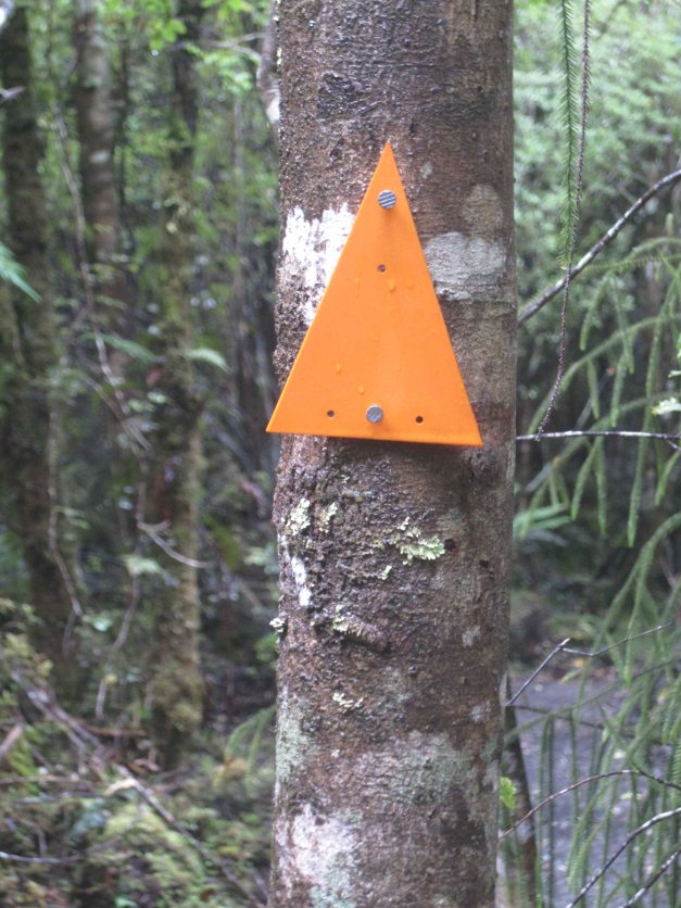 ....orangen Dreieckli, die den Weg markieren, wär's ganz schön unheimlich gewesen.