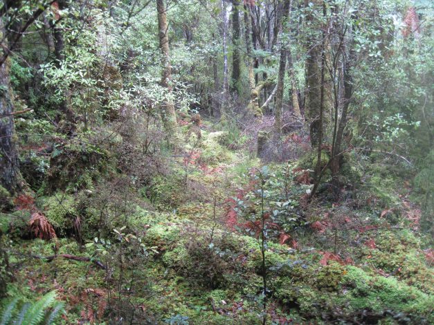 ...und auch wenn's schön ist: