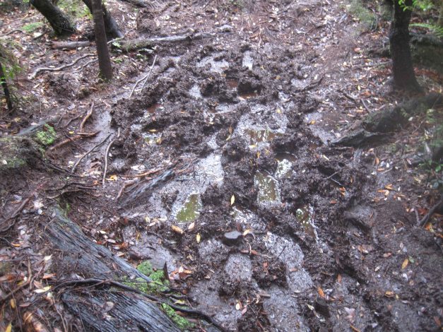 ...und Schlamm, viel Schlamm...