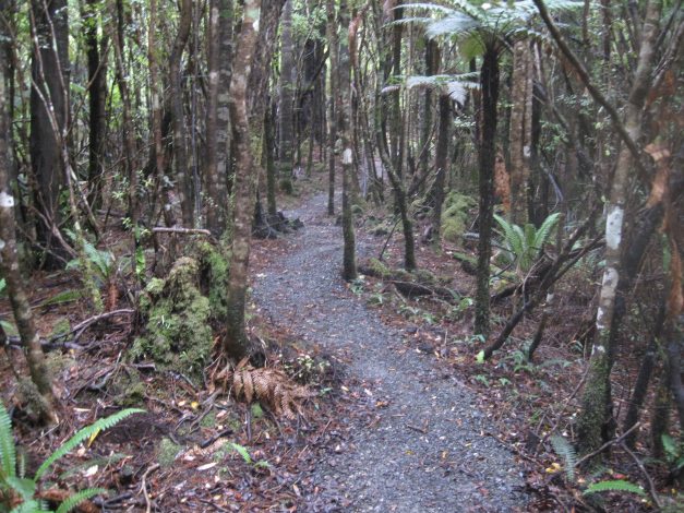 Nach Stunden durch den dichten Wald habe ich's dann endlich geschafft: