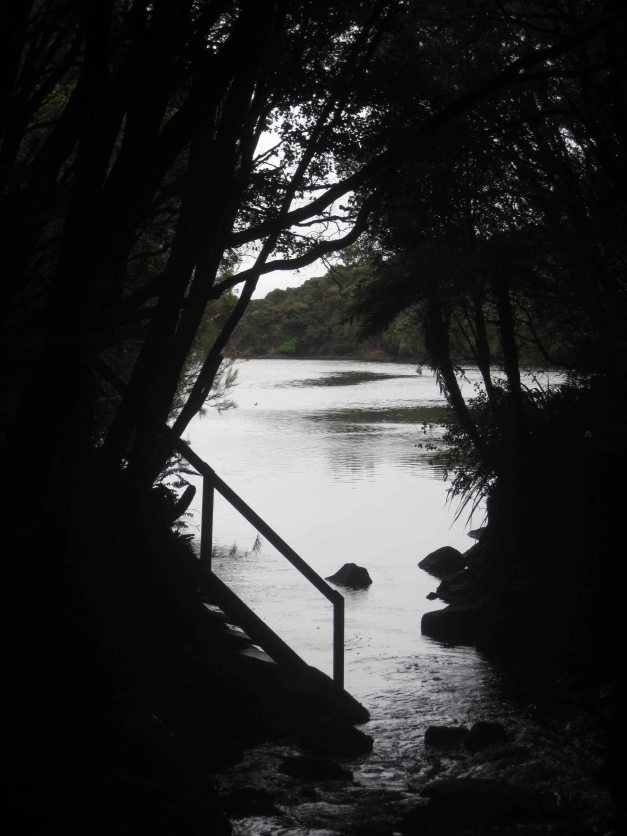 Manchmal sieht man ein wenig aus dem Wald raus...