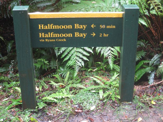 ...und deshalb nehme ich jetzt die Abkürzung: Noch 50 Minuten und ich habe...