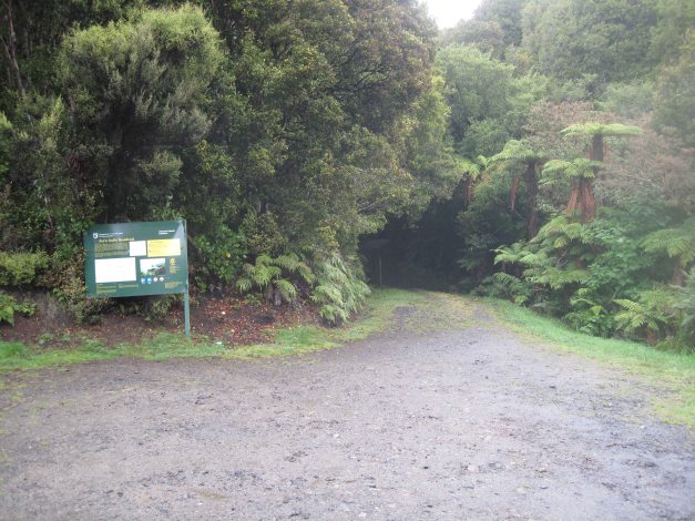 ...endlich, ENDLICH das Ende des Waldes erreicht. Und es wurde Licht...!!!