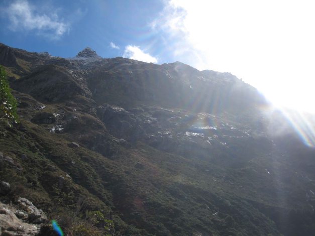 ...der Sonne entgegen.