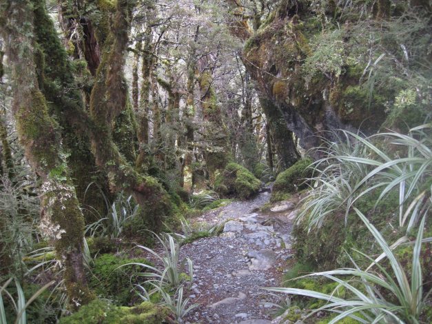 Kulissen für Rotkäpchen