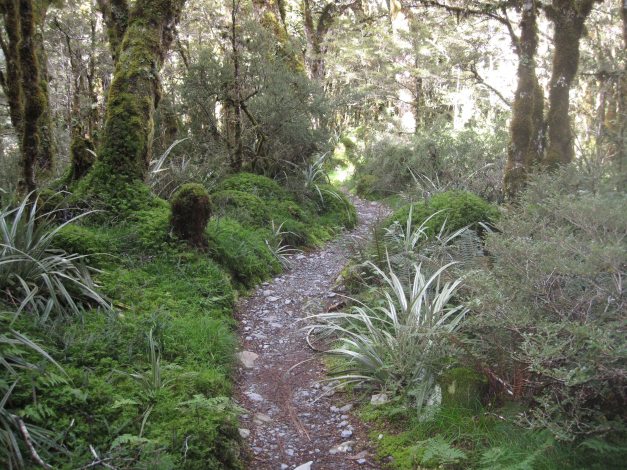 oder Lord of the Rings