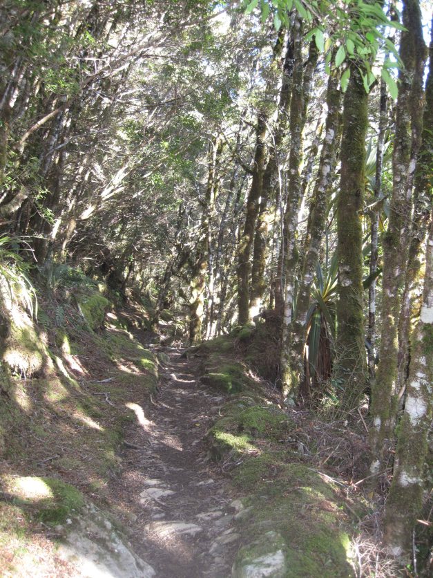 Nächster Tag: Weiter geht's...