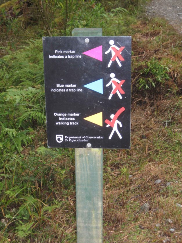 Start zum Routeburn Track. Nicht den violetten und nicht den grünen sondern immer den orangen Dreieckli nach.