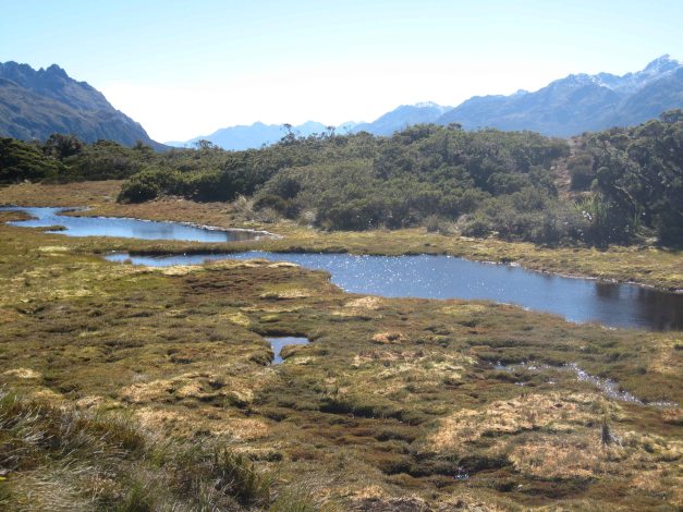 Hochebene am Key Summit