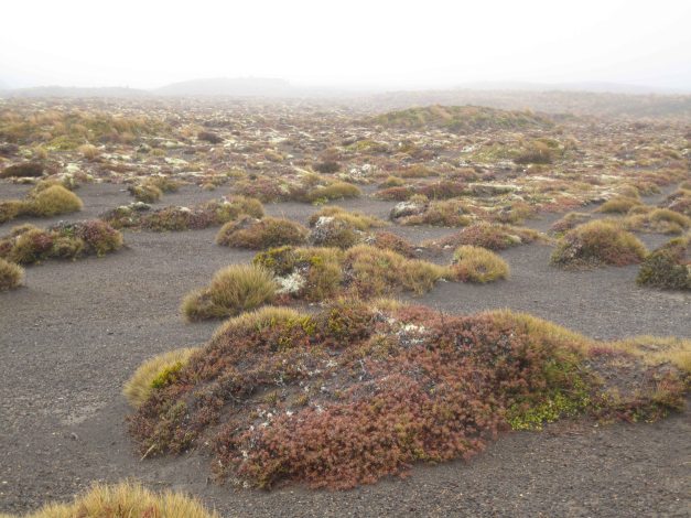 Tongariro landscape