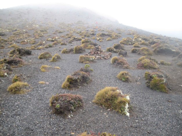 At least nicer than on our way up...