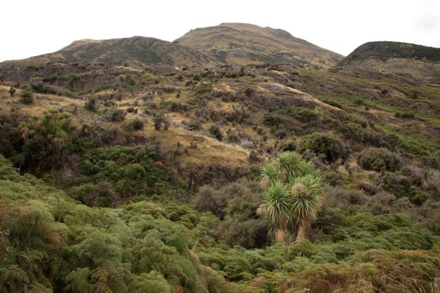 Von Wanaka nach Queenstown