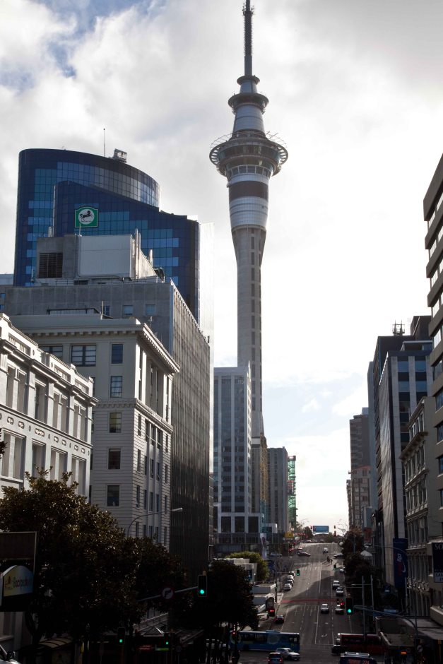 Sky Tower from a distance