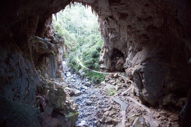 Not bad, ey? They are huge...