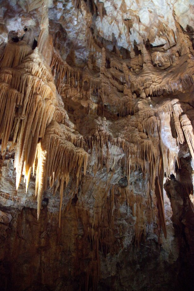 Orient Cave impressions