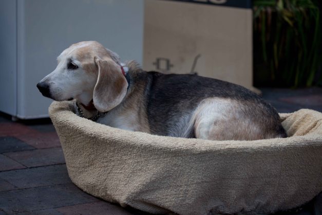 He can be so sweet...