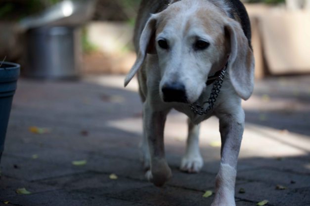 Where's the foooooooood?